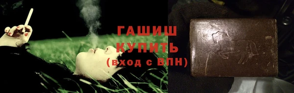 гашик Алексин