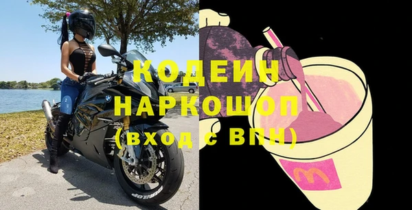 гашик Арсеньев