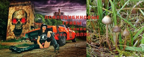 молекула духа Алексеевка