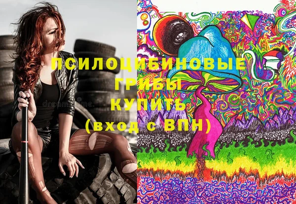 дживик Алзамай
