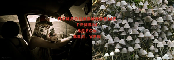 jwh Аркадак