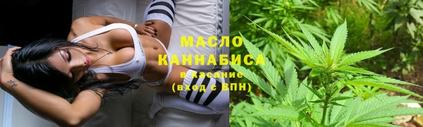 гашик Арсеньев