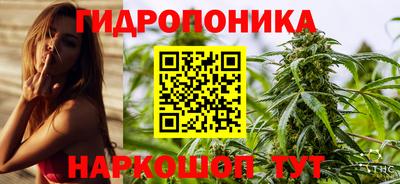 мдпв Янаул