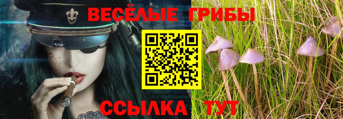 Галлюциногенные грибы мухоморы  Вход с VPN  Краснотурьинск 