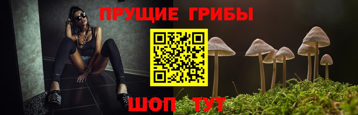 Псилоцибиновые грибы прущие грибы Краснотурьинск